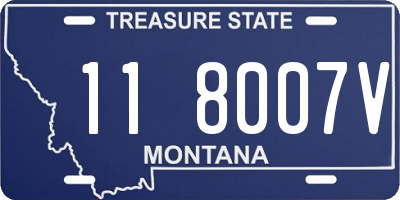 MT license plate 118007V