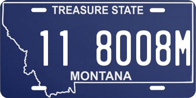 MT license plate 118008M