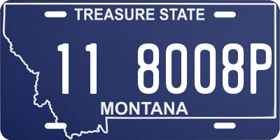 MT license plate 118008P