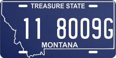 MT license plate 118009G
