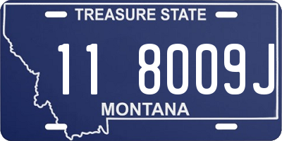 MT license plate 118009J