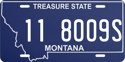 MT license plate 118009S