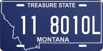MT license plate 118010L