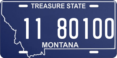 MT license plate 118010O