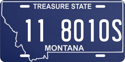 MT license plate 118010S