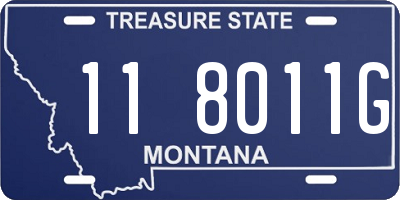 MT license plate 118011G