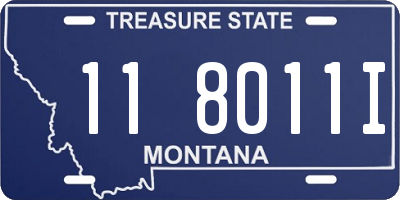 MT license plate 118011I