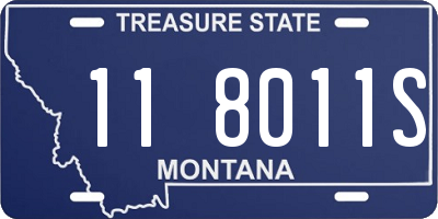 MT license plate 118011S