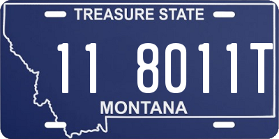 MT license plate 118011T