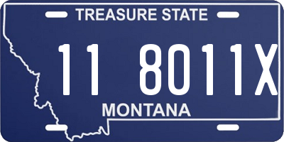 MT license plate 118011X