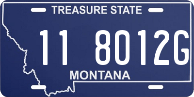 MT license plate 118012G