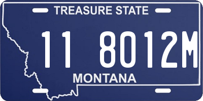 MT license plate 118012M