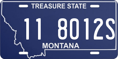 MT license plate 118012S