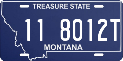 MT license plate 118012T
