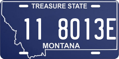 MT license plate 118013E