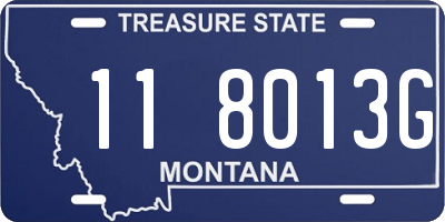 MT license plate 118013G