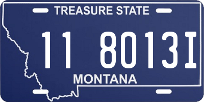 MT license plate 118013I