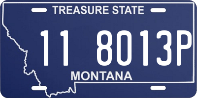 MT license plate 118013P