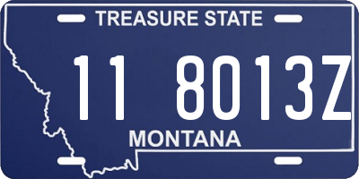 MT license plate 118013Z