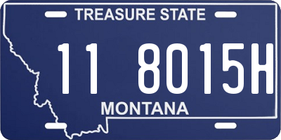 MT license plate 118015H