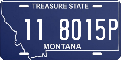 MT license plate 118015P
