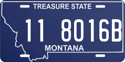 MT license plate 118016B