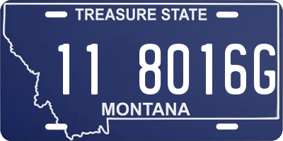 MT license plate 118016G