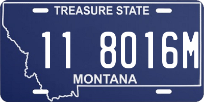 MT license plate 118016M