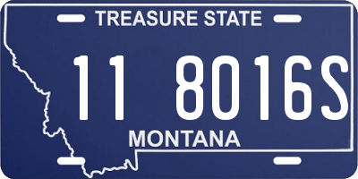 MT license plate 118016S
