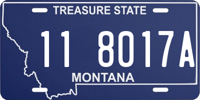 MT license plate 118017A