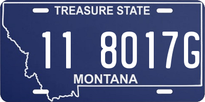 MT license plate 118017G