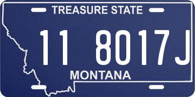 MT license plate 118017J