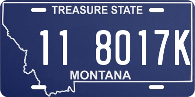 MT license plate 118017K