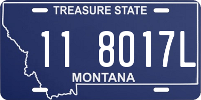 MT license plate 118017L
