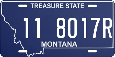 MT license plate 118017R