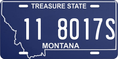 MT license plate 118017S