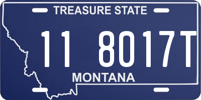 MT license plate 118017T