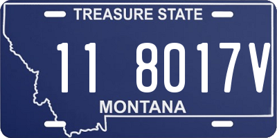 MT license plate 118017V
