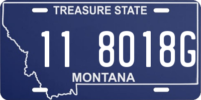 MT license plate 118018G