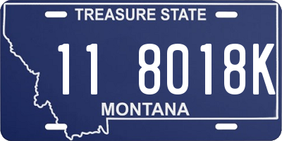 MT license plate 118018K