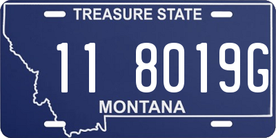 MT license plate 118019G