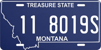 MT license plate 118019S