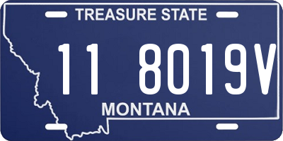 MT license plate 118019V