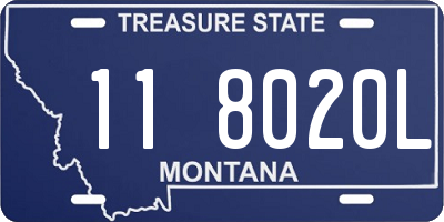MT license plate 118020L