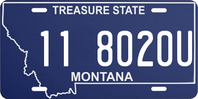 MT license plate 118020U