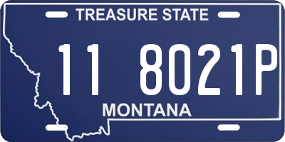 MT license plate 118021P
