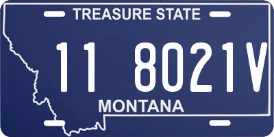 MT license plate 118021V