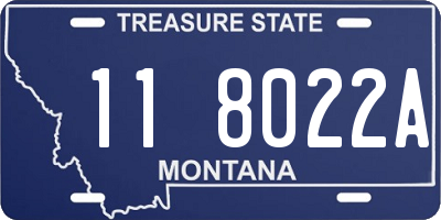 MT license plate 118022A