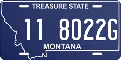 MT license plate 118022G