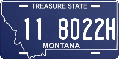 MT license plate 118022H